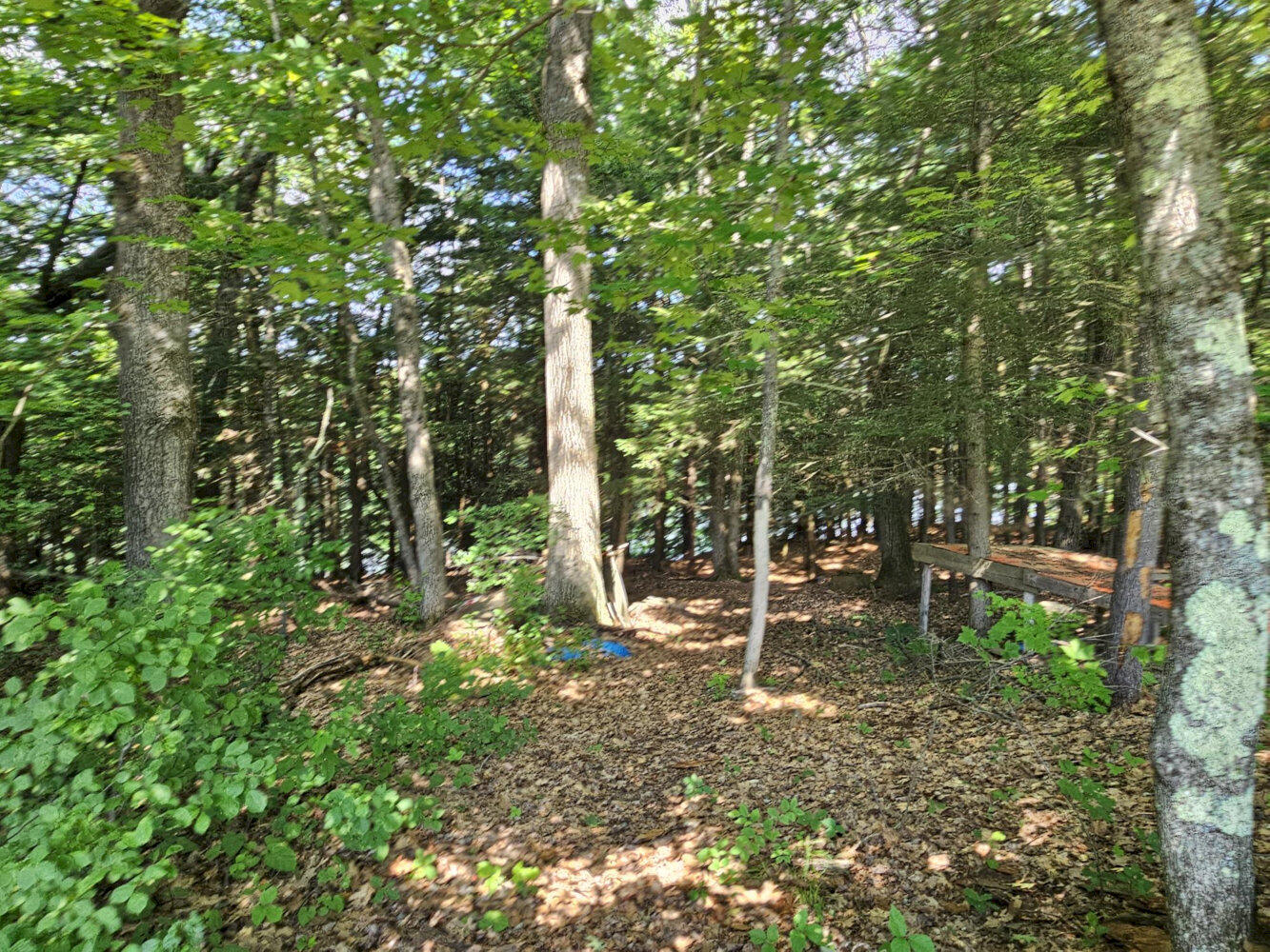 1029 East River Road Skowhegan, ME 04976 - Photo 46 of 47 20260703_101454_result