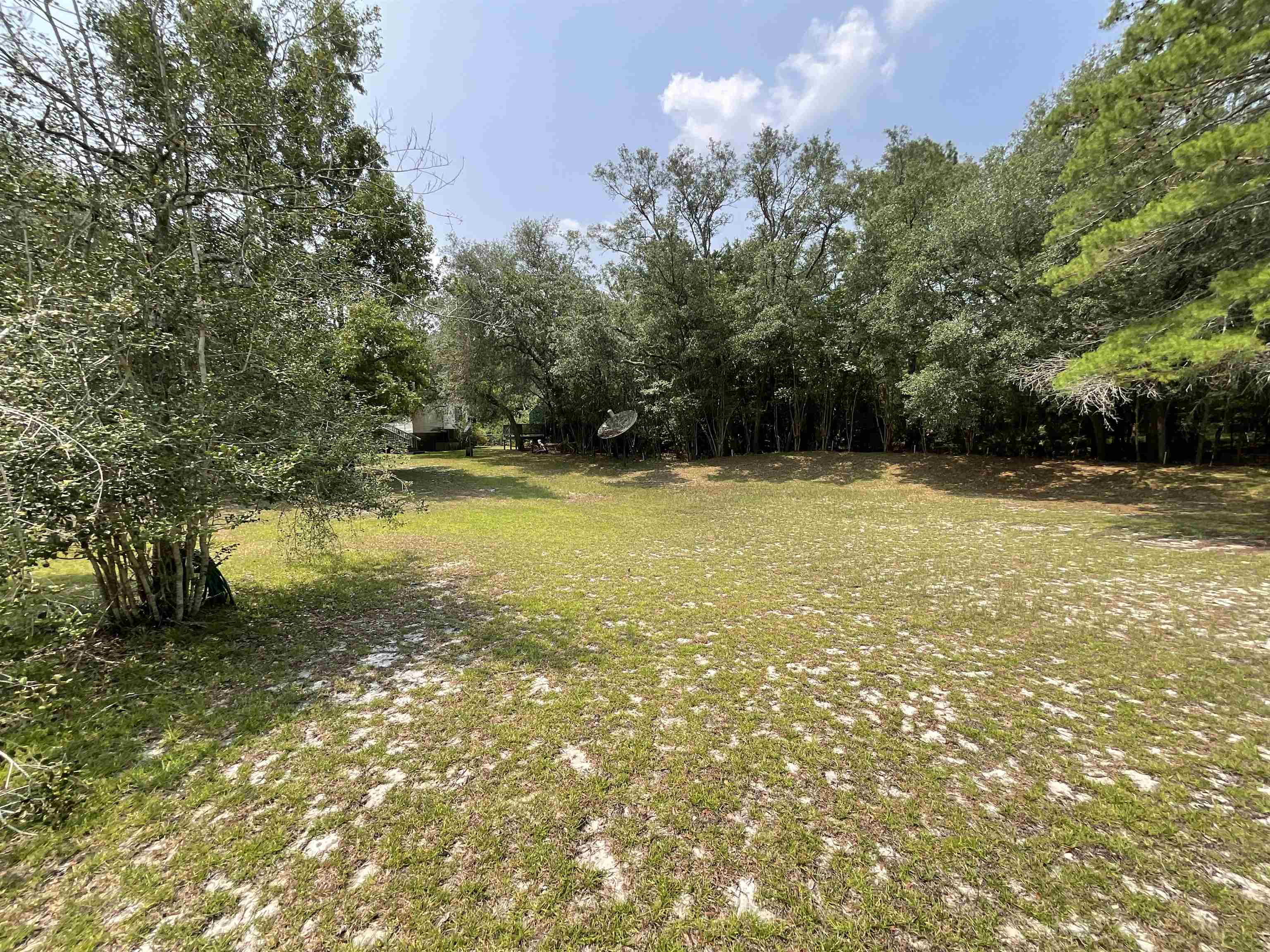 448 Northeast N Riverbend Way Pinetta, FL 32350 - Photo 6 of 42