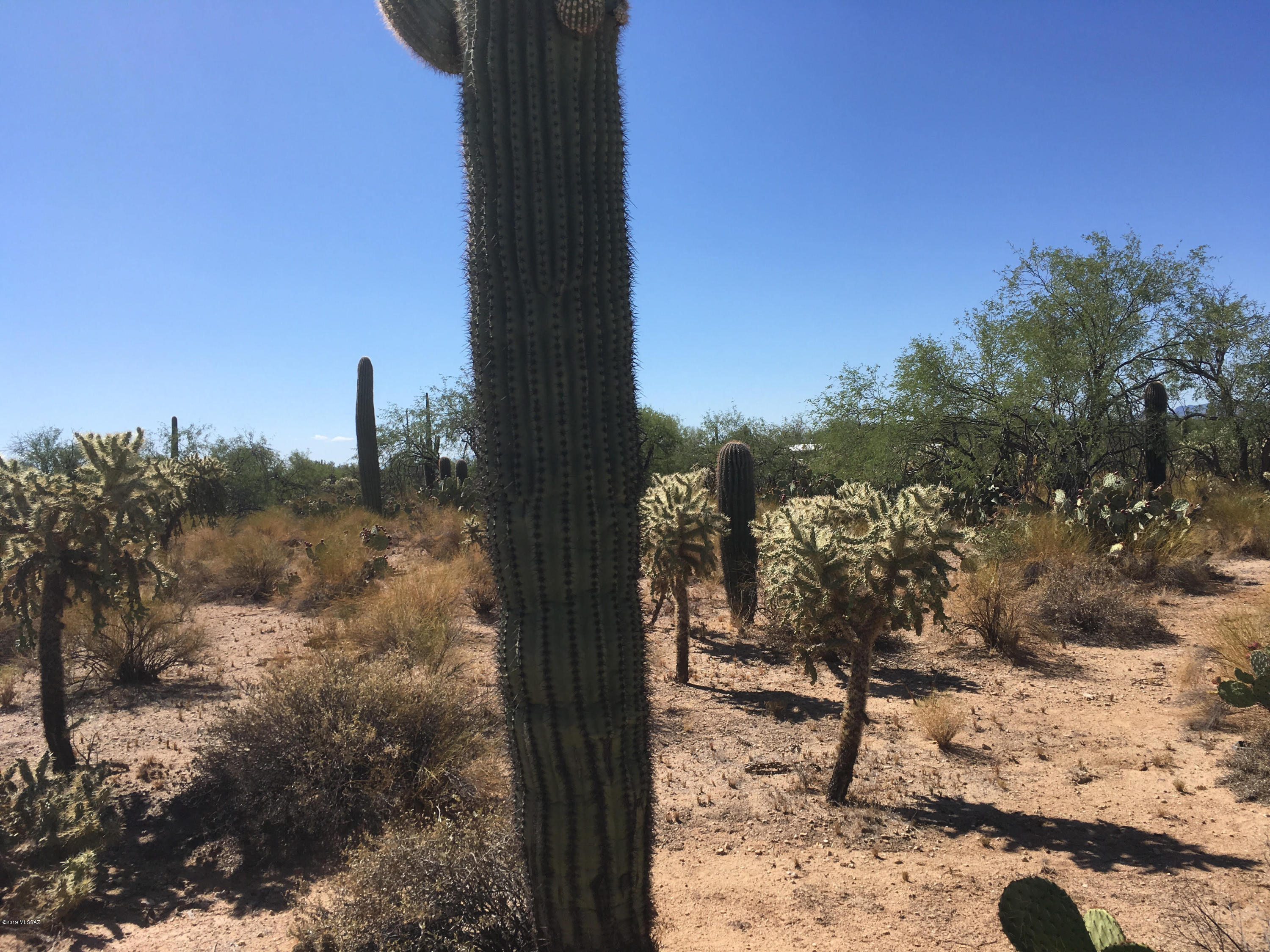 2575 West Sunkist Road Tucson, AZ 85755 - Photo 3 of 5