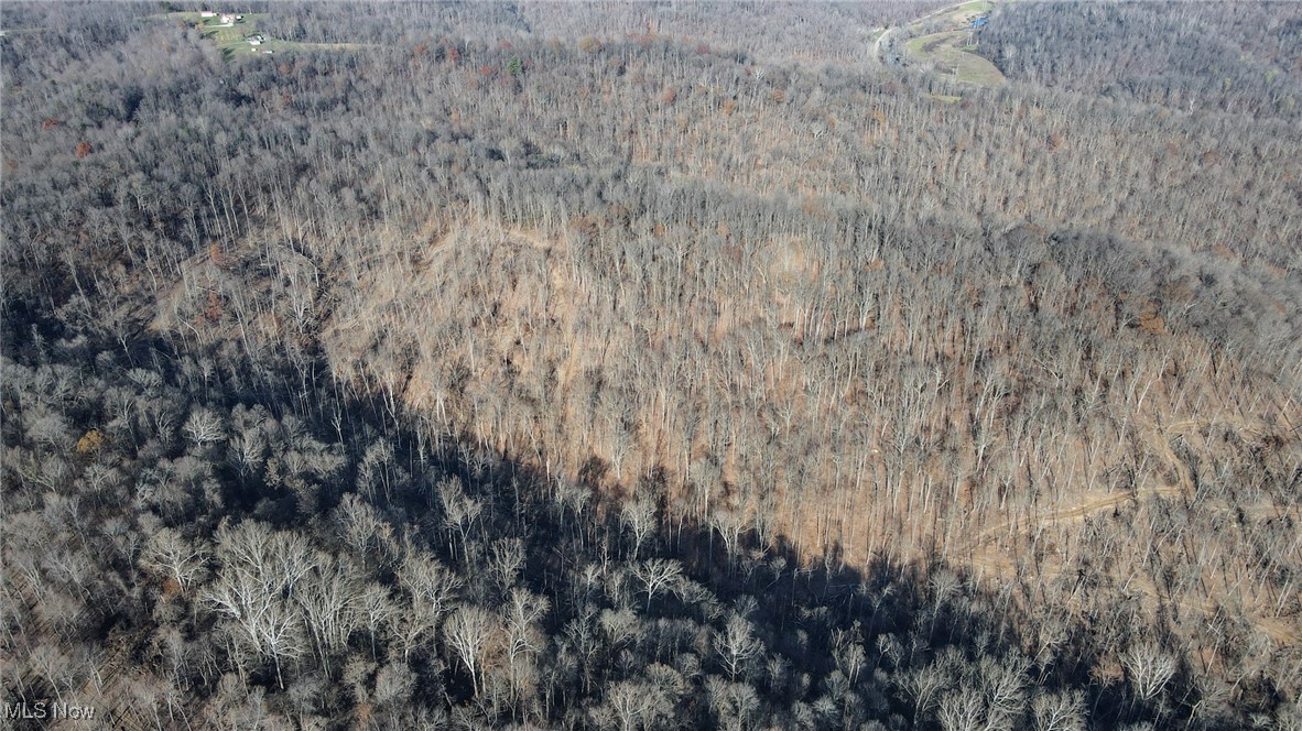 15999 State Route 26 Reno, OH 45773 - Photo 2 of 18 Aerial view of property's location with a forest