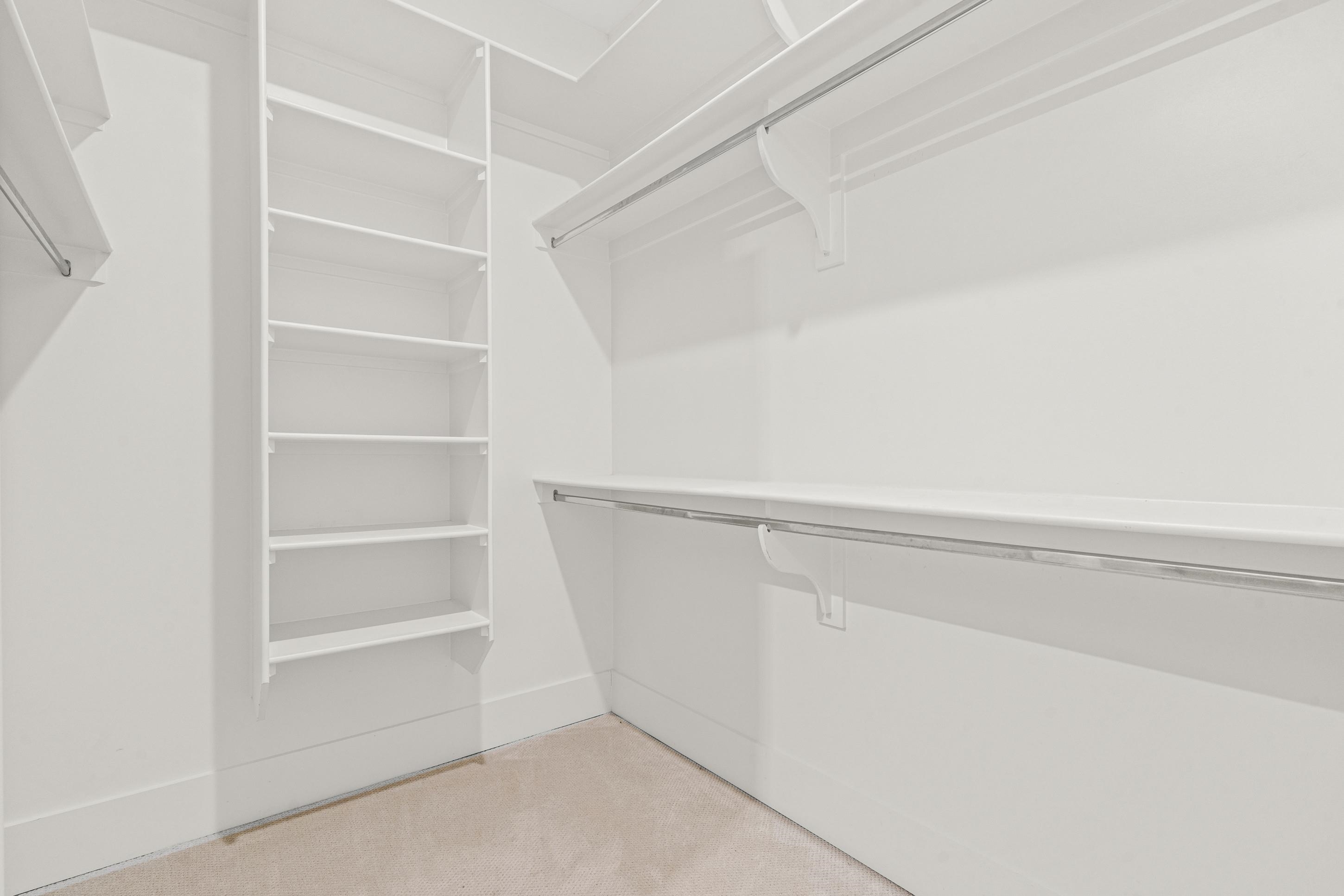 12608 Bravo Road Collierville, TN 38017 - Photo 11 of 40 Walk in closet featuring light colored carpet