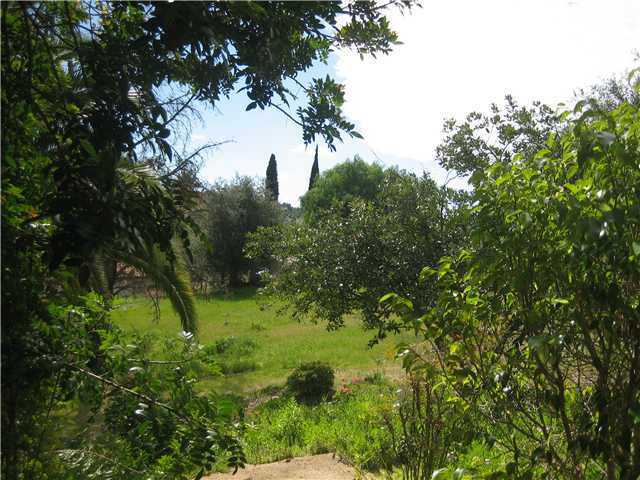 2988 Live Oak Park Road Fallbrook, CA 92028 - Photo 6 of 6