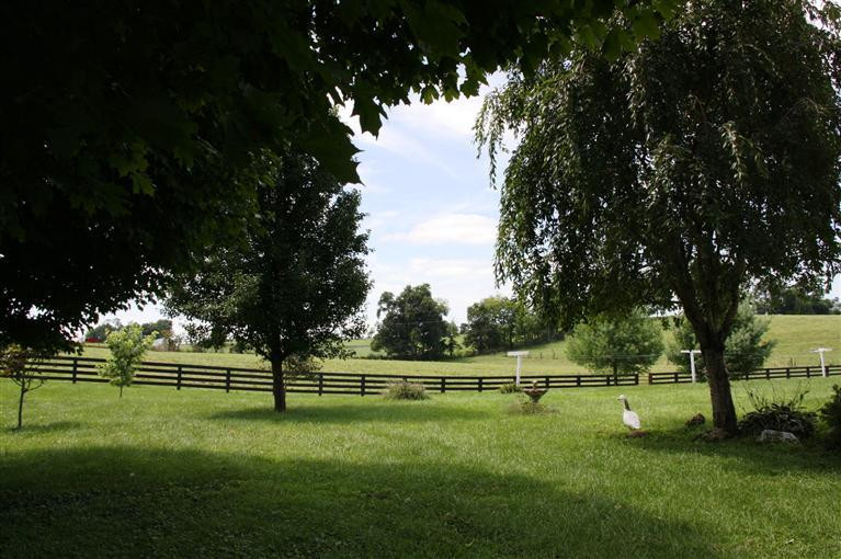 227 Youngs Mill Road Paris, KY 40361 - Photo 8 of 21 Photo 8