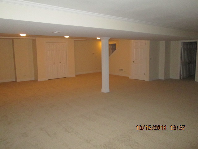 2720 Willow Ridge Drive Naperville, IL 60564 - Photo 19 of 21