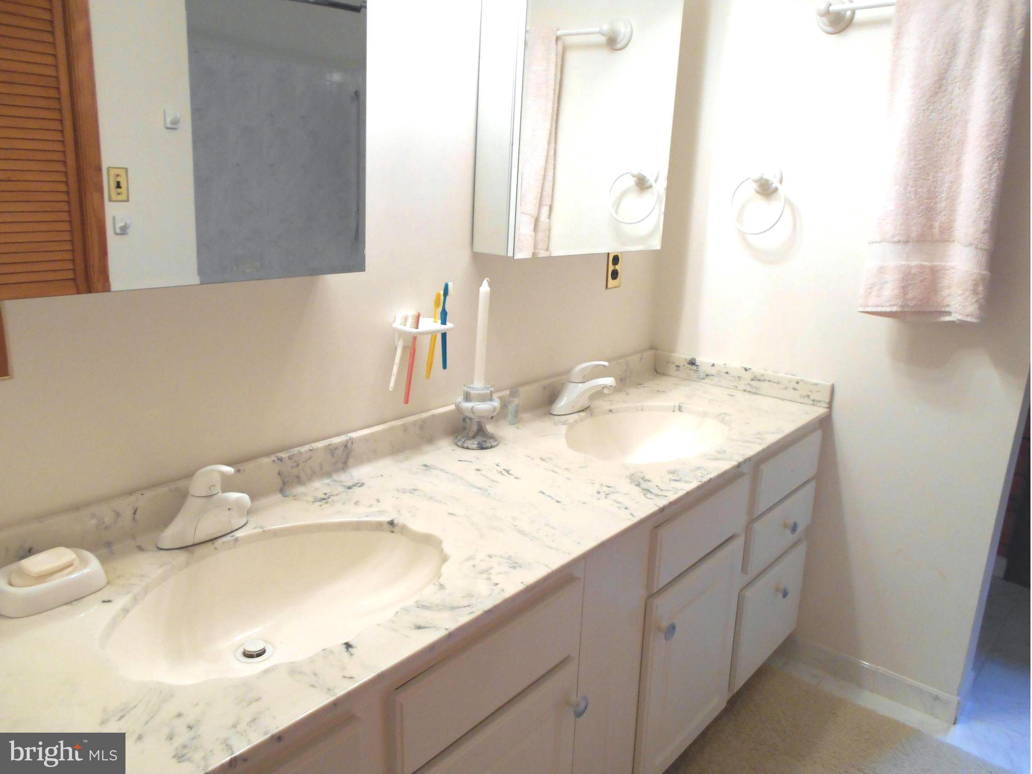 12175 Potomac View Road Newburg, MD 20664 - Photo 21 of 30 Bath