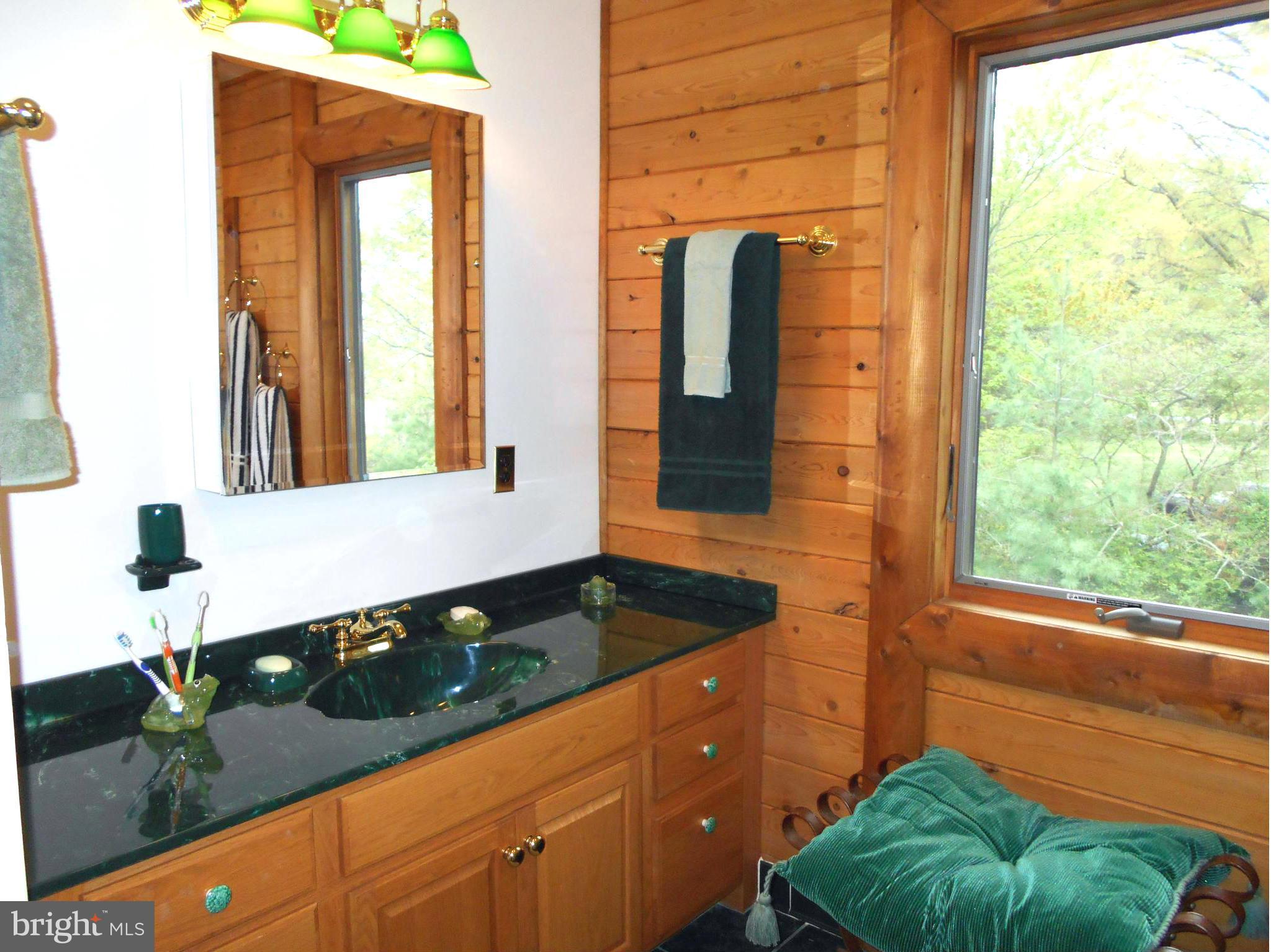 12175 Potomac View Road Newburg, MD 20664 - Photo 25 of 30 Bath