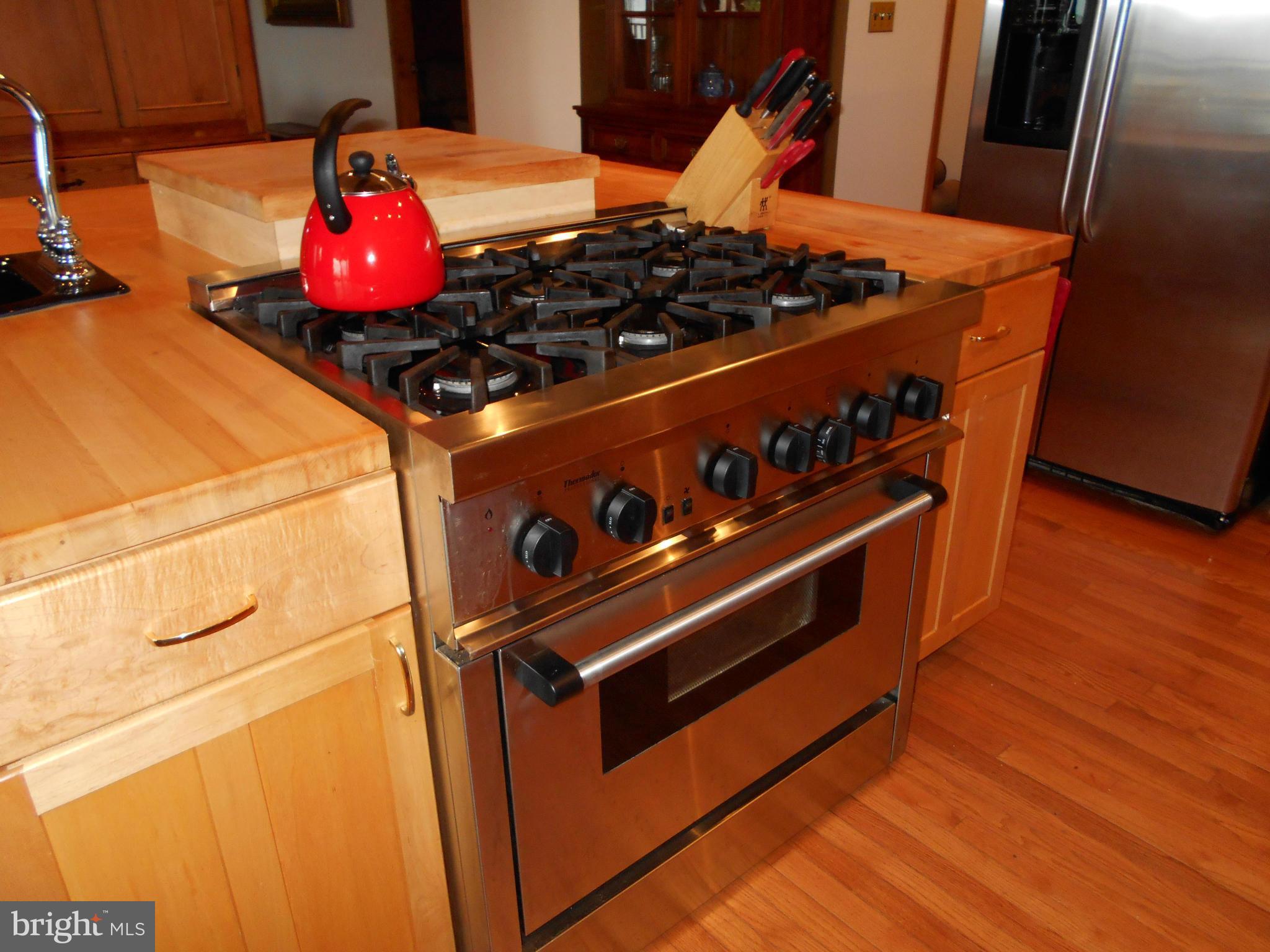 12175 Potomac View Road Newburg, MD 20664 - Photo 9 of 30 Kitchen