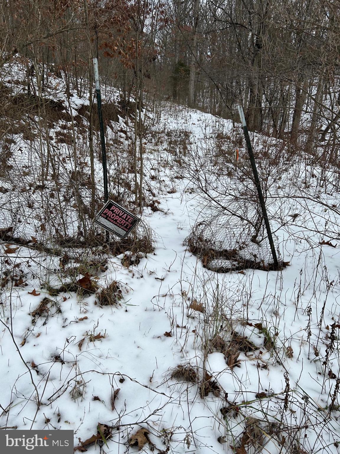 Lot 2 Back Mountain Road Winchester, VA 22602 - Photo 2 of 9 A park here, entry