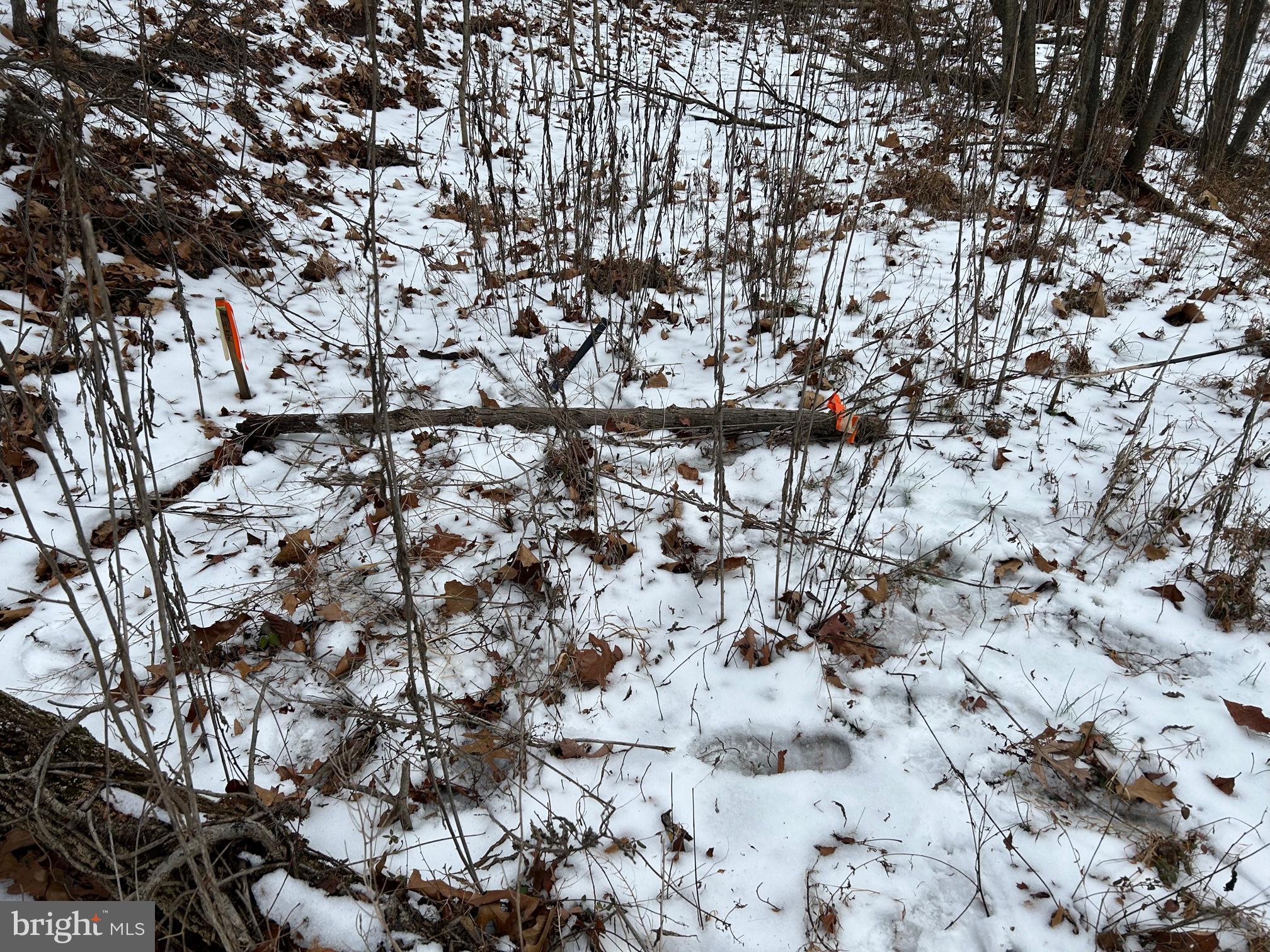 Lot 2 Back Mountain Road Winchester, VA 22602 - Photo 4 of 9 C go right up hill now