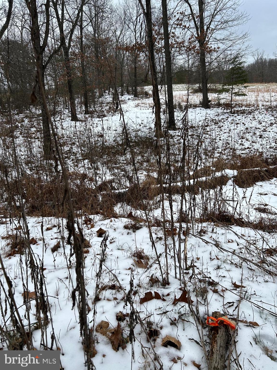 Lot 2 Back Mountain Road Winchester, VA 22602 - Photo 5 of 9 D cross back of land