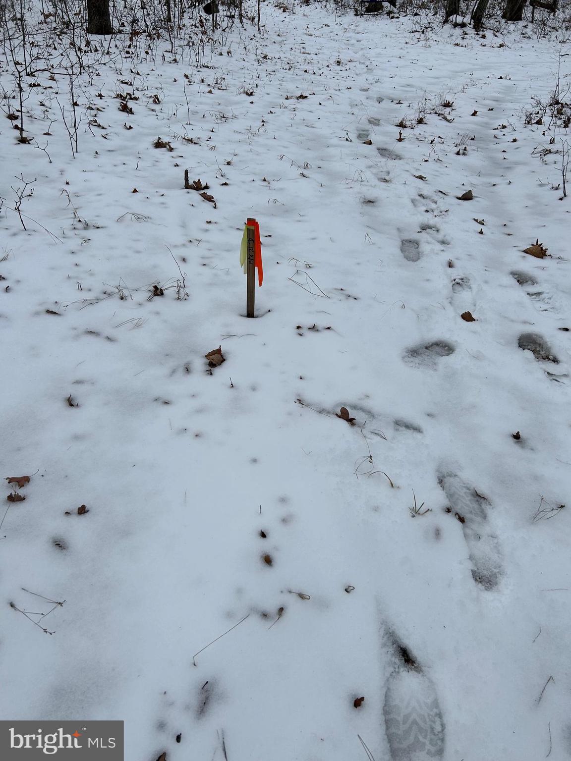 Lot 2 Back Mountain Road Winchester, VA 22602 - Photo 8 of 9 G last stake b4 86 acre