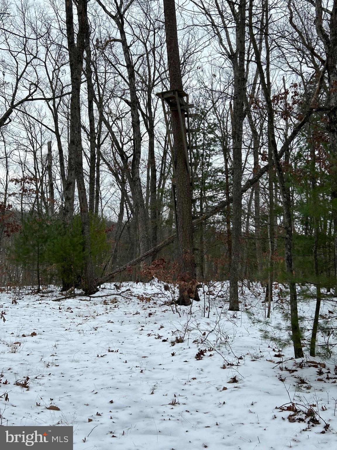 Lot 2 Back Mountain Road Winchester, VA 22602 - Photo 9 of 9 4 min past Remax sign