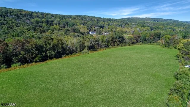 a view of a lush green forest with trees in the background