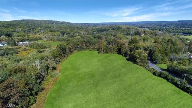 a view of a lush green outdoor space with a garden