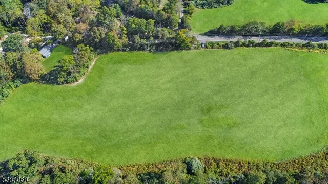 an aerial view of garden with trees