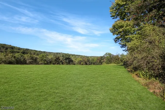 a view of an outdoor space and a yard