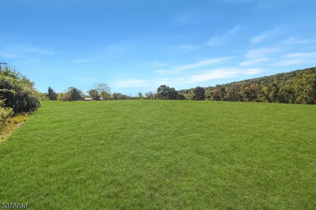 a view of a field with an ocean