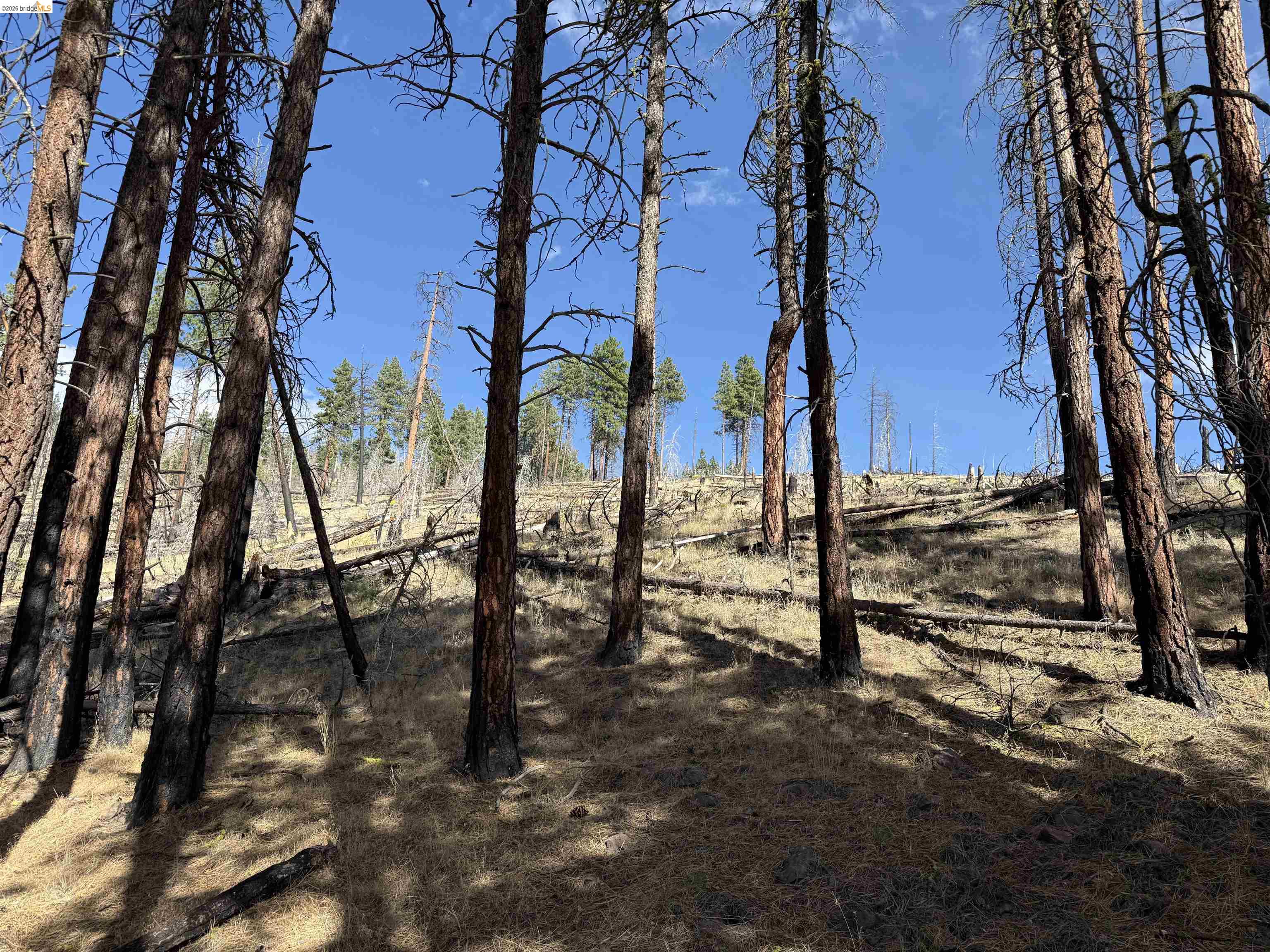 0 Butte Creek Road Susanville, CA 96127 - Photo 9 of 14 Gallery Image 9