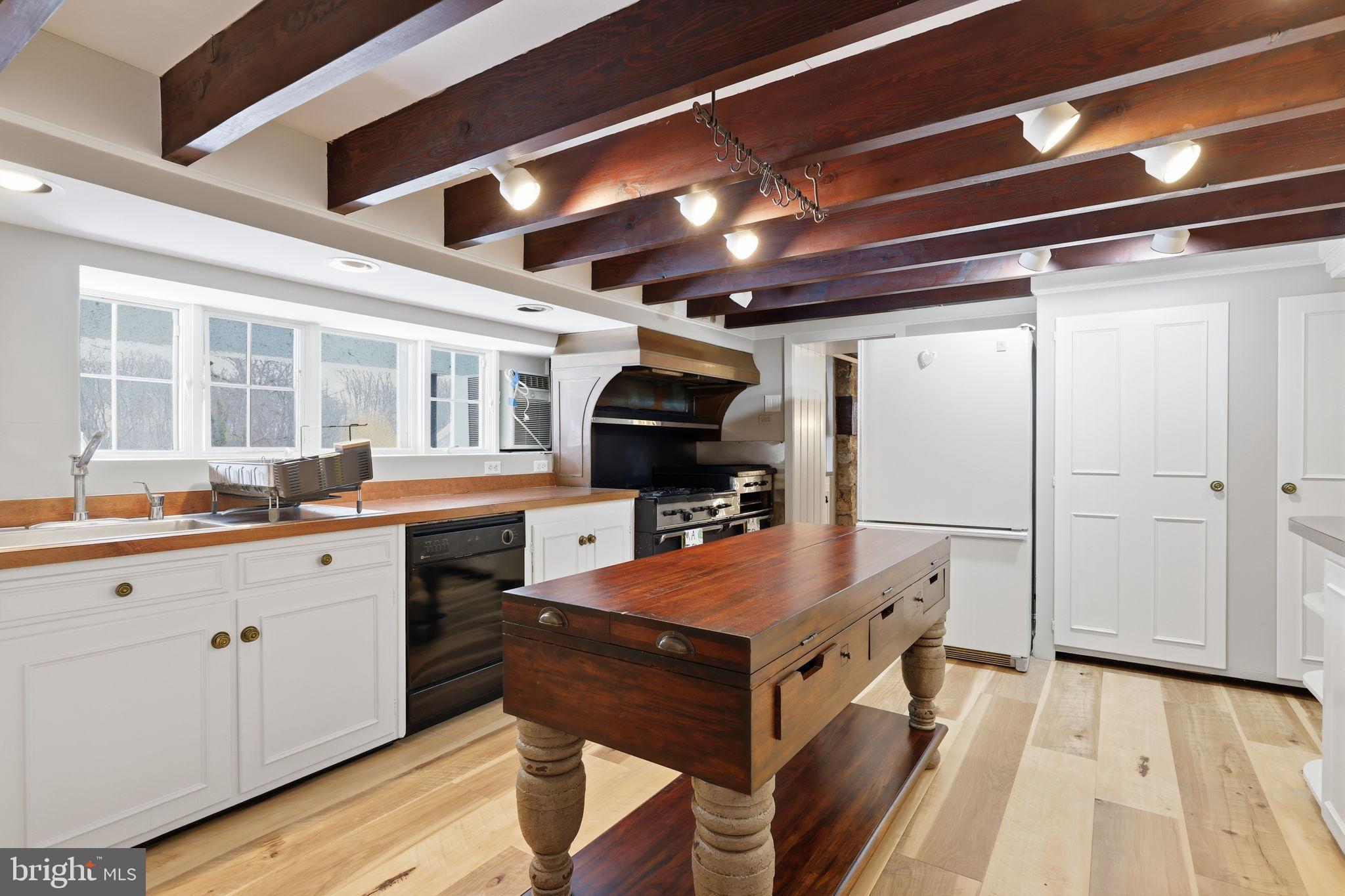 3039 Durham Road Doylestown, PA 18902 - Photo 78 of 122 MAIN House Basement kitchen.