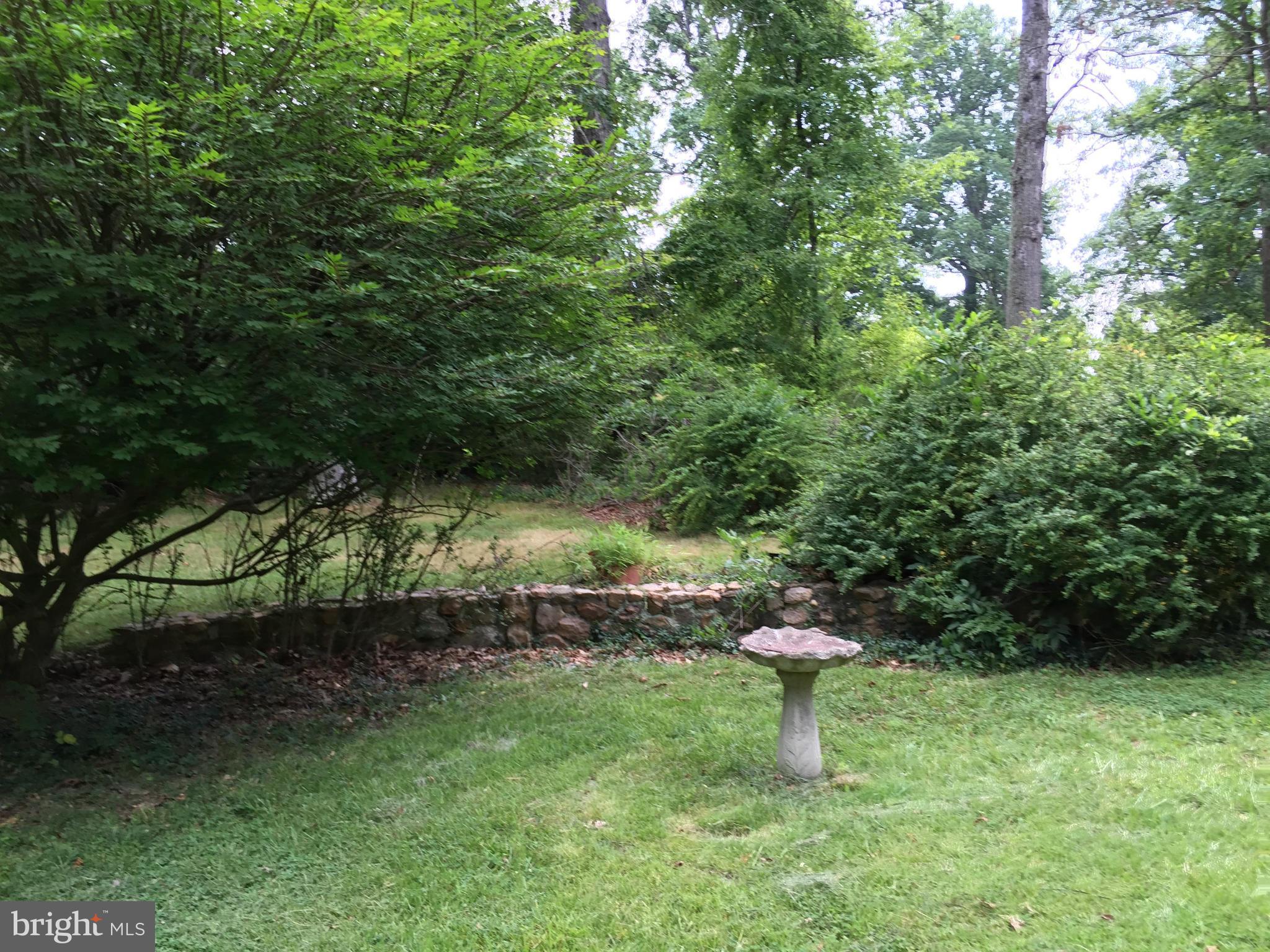 12001 Auth Lane Silver Spring, MD 20902 - Photo 7 of 7 Backyard