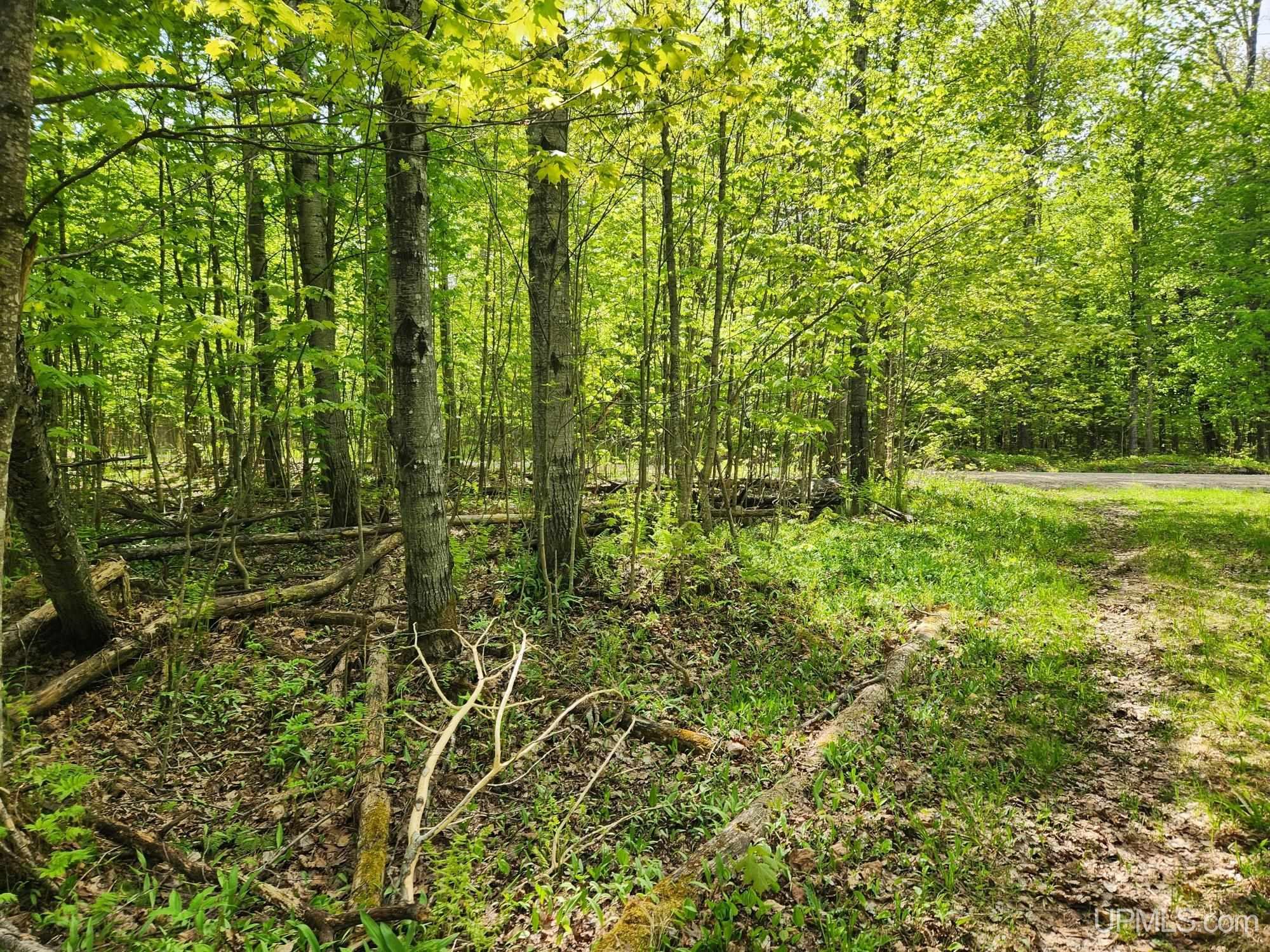 Lot 20 University Road Iron River, MI 49935 - Photo 18 of 23 Gallery Image 18