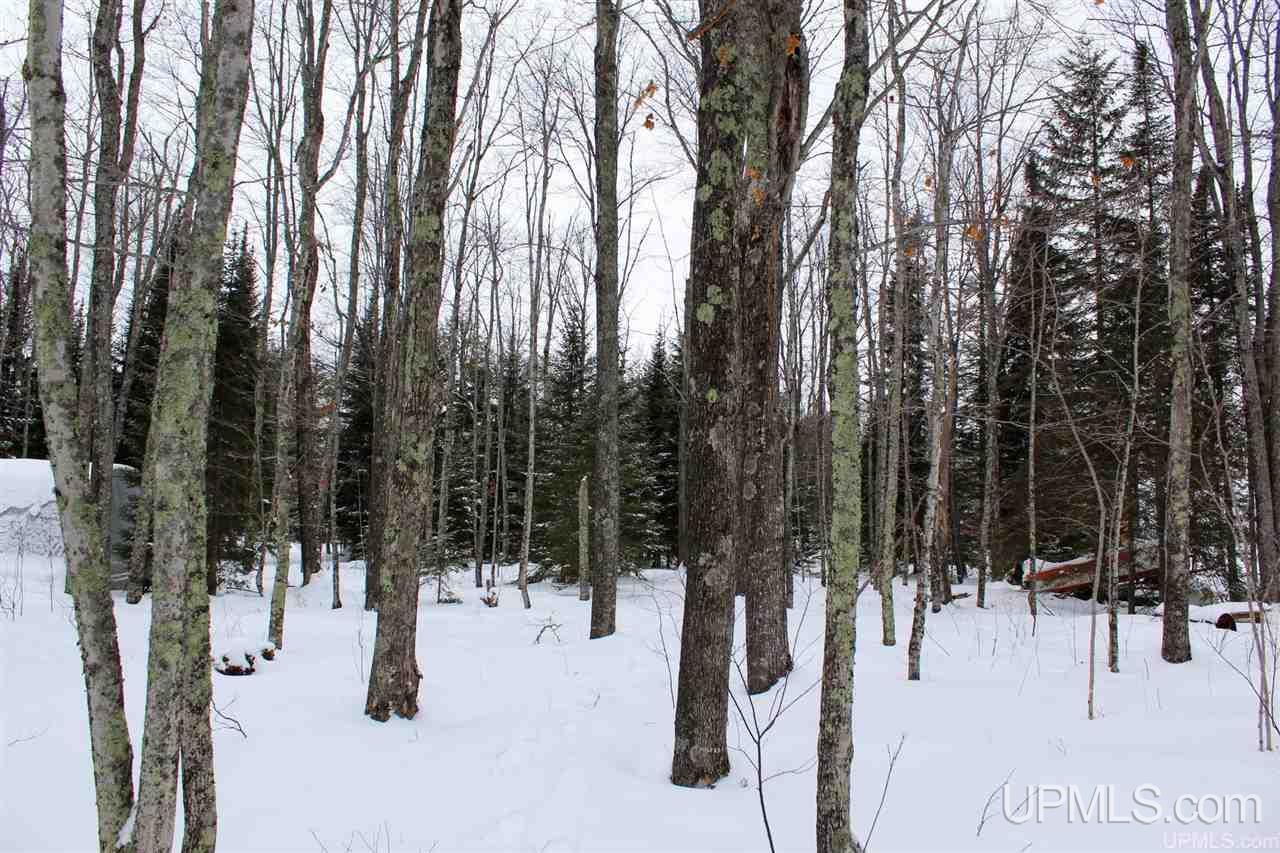 Tbd Des Rochers Road, Unit LOT 19 Pelkie, MI 49958 - Photo 32 of 33
