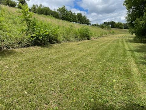 529 Keisling Road Newport, TN 37821 - Photo 2 of 15 IMG_1362