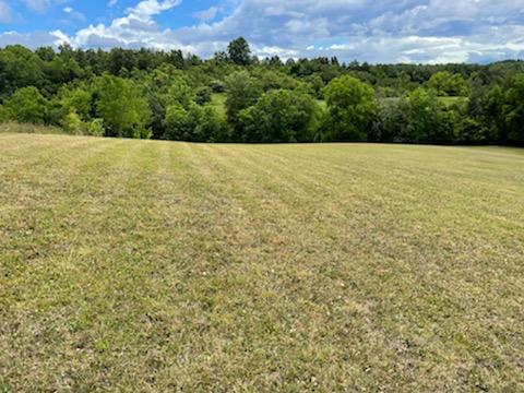 529 Keisling Road Newport, TN 37821 - Photo 12 of 15 IMG_1375