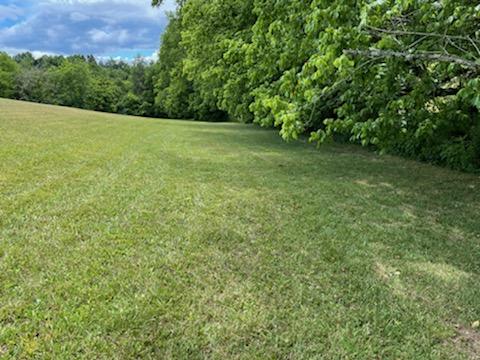 529 Keisling Road Newport, TN 37821 - Photo 13 of 15 IMG_1379
