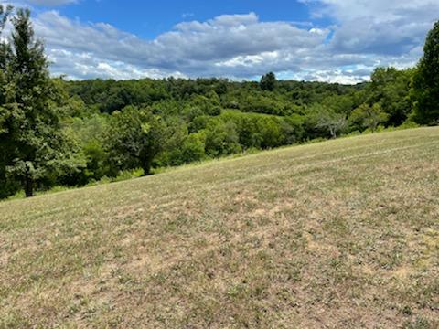 529 Keisling Road Newport, TN 37821 - Photo 6 of 15 IMG_1367