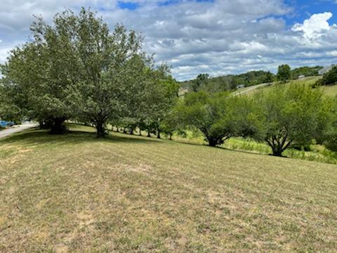 529 Keisling Road Newport, TN 37821 - Photo 7 of 15 IMG_1368