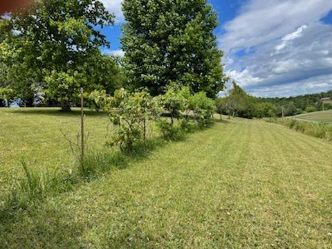 529 Keisling Road Newport, TN 37821 - Photo 9 of 15 IMG_1371