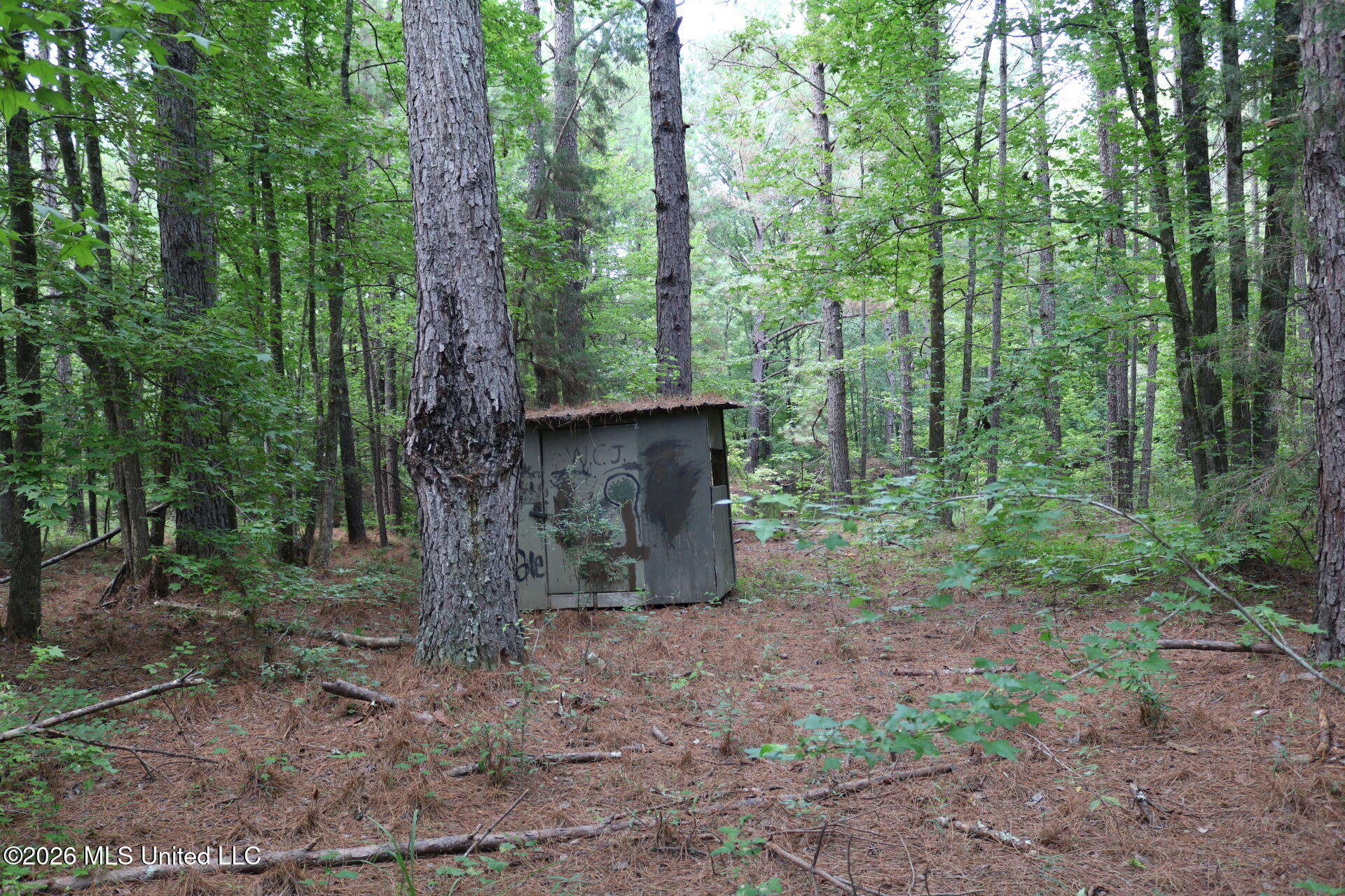2026 Stump Bridge Road Camden, MS 39045 - Photo 6 of 18 IMG_5679
