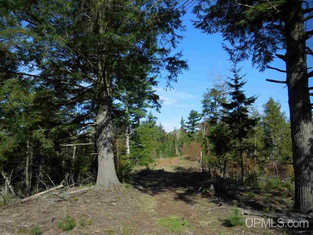 1480 Acres On Co Road Manistique, MI 49854 - Photo 23 of 49