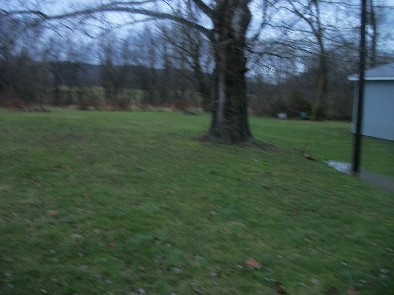 135 East Side Park Road Butler, KY 41006 - Photo 3 of 20 Gallery Image 3