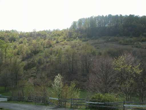 298 Mount Morris Road Mount Morris, PA 15349 - Photo 6 of 6