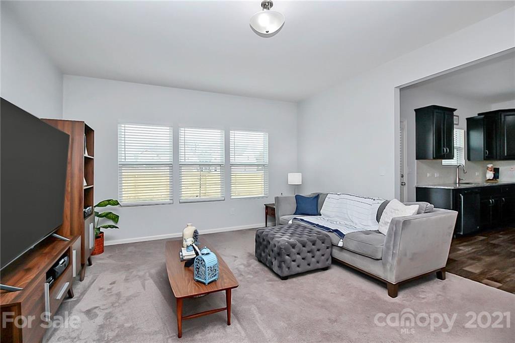 3034 Riker Street Clover, SC 29710 - Photo 17 of 42 a living room with furniture a flat screen tv and a window