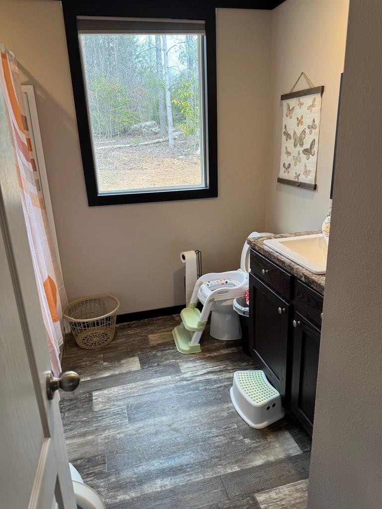 35 Bergan Moore Road Murphy, NC 28906 - Photo 15 of 21
