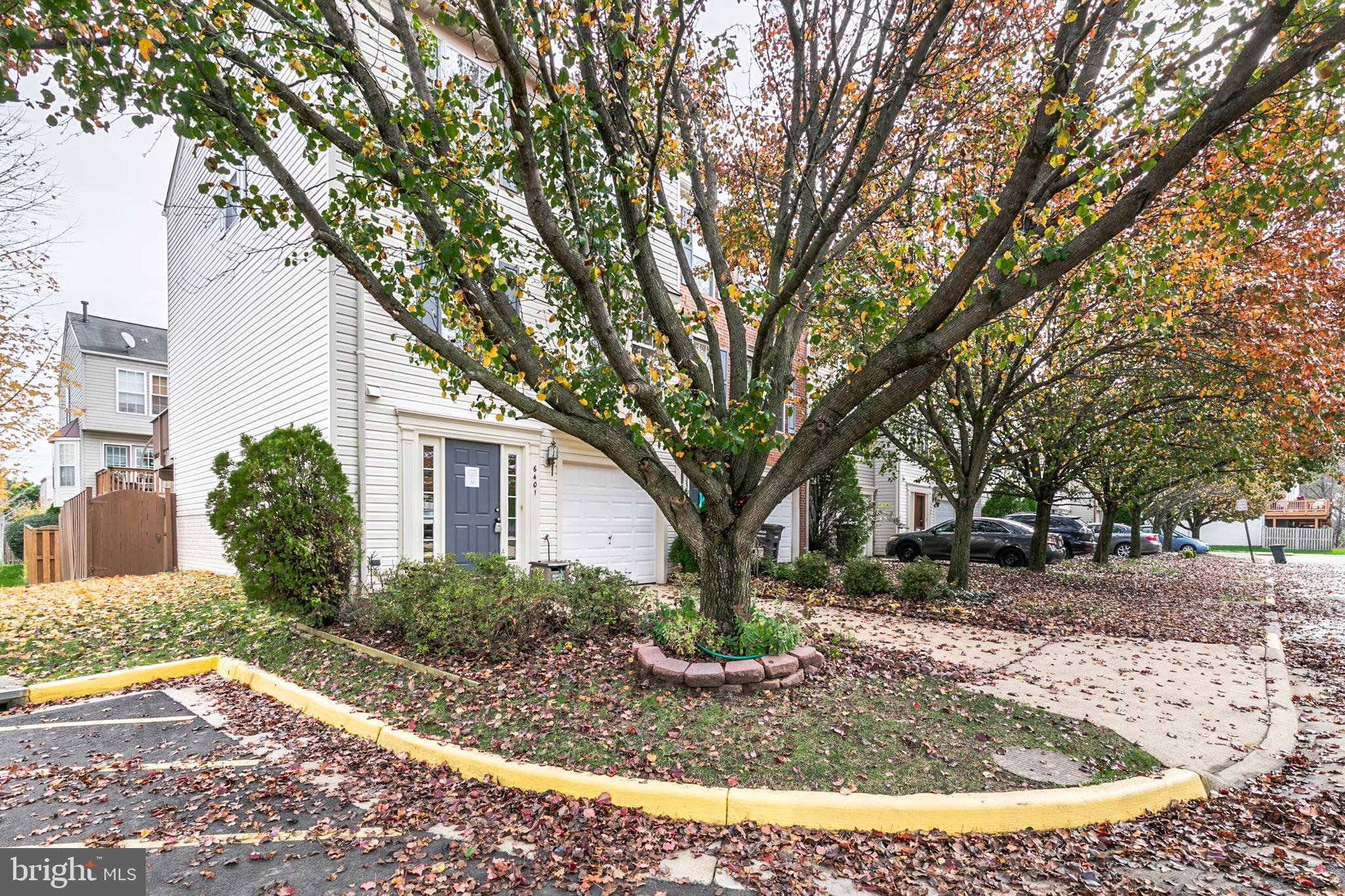 6401 Lureta Ann Lane Springfield, VA 22150 - Photo 4 of 43