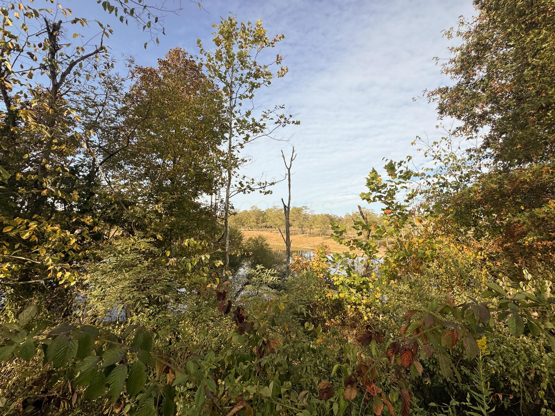 413 Gallipolis Road, Unit CLEARVIEW POND) Oak Hill, OH 45656 - Photo 85 of 88 CT-85