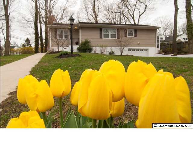 1201 Ivy Road Manasquan, NJ 08736 - Photo 1 of 12 Primary Photo