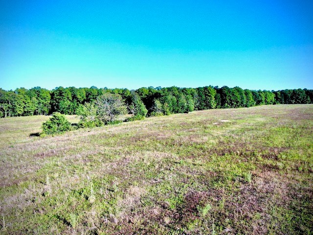 Tbd Lost Lake Road Egg Harbor, WI 54209 - Photo 25 of 29