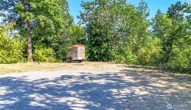 a plant that is in front of flowers