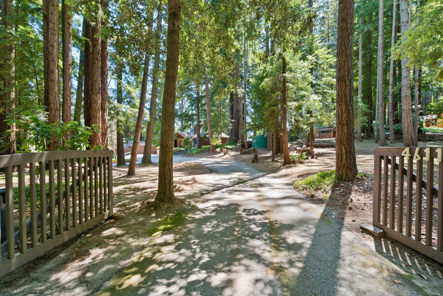 4611 Bonny Doon Road Santa Cruz, CA 95060 - Photo 39 of 94 a view of a yard with large trees