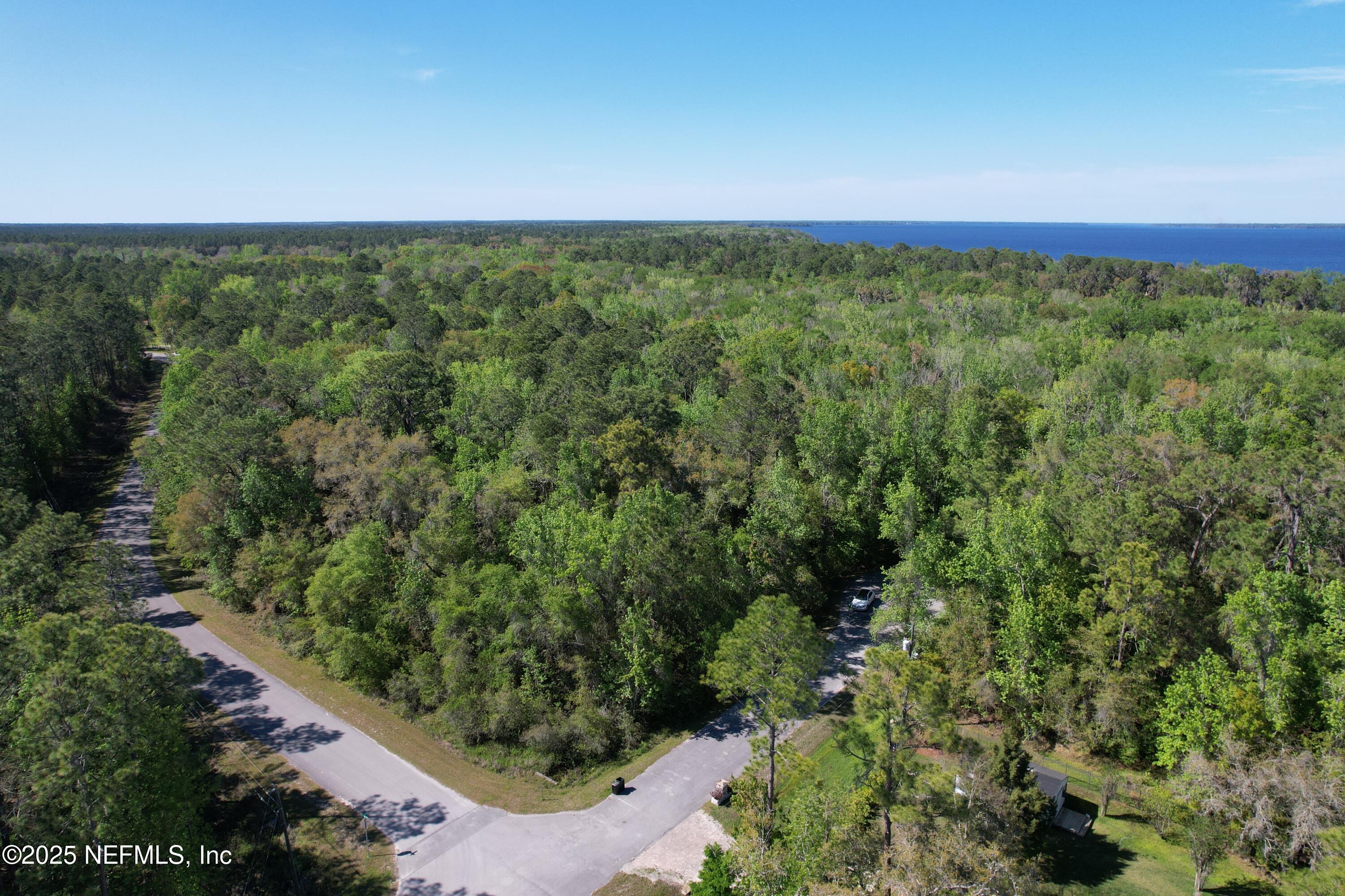 0 Cedar Creek Road Green Cove Springs, FL 32043 - Photo 5 of 10 a view of a yard