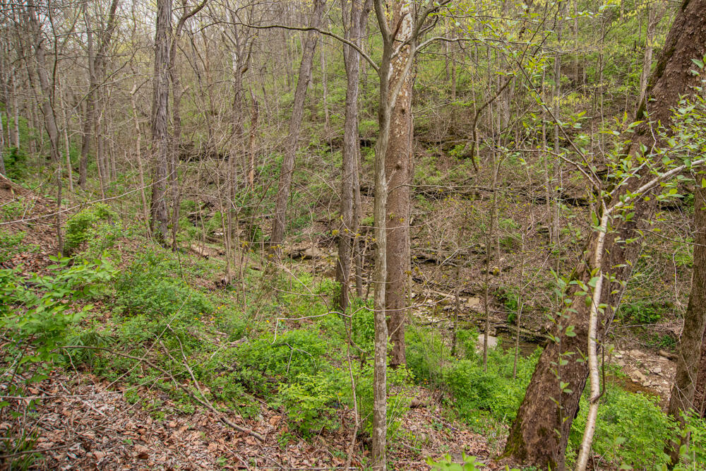 4220 Four Mile Road Winchester, KY 40391 - Photo 40 of 48 40
