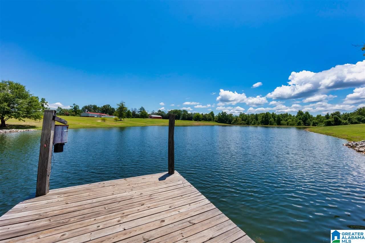 1210 County Road 97 Verbena, AL 36091 - Photo 17 of 50