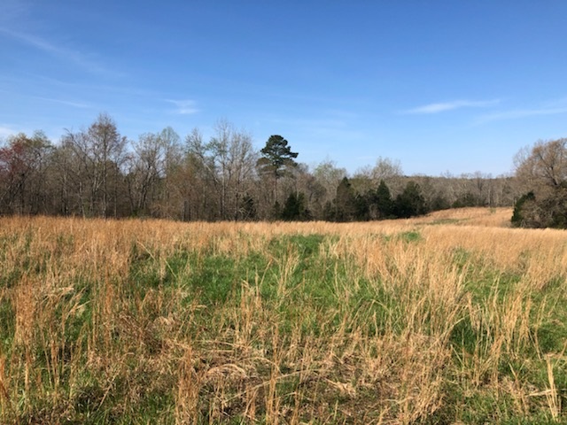 7267 Center Hill Road Finger, TN 38334 - Photo 2 of 19