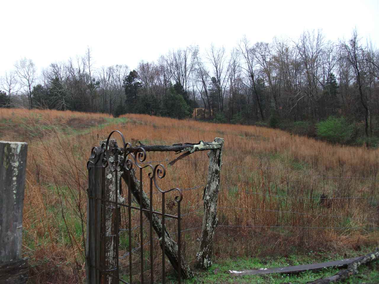 7267 Center Hill Road Finger, TN 38334 - Photo 19 of 19