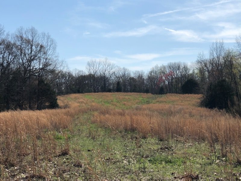 7267 Center Hill Road Finger, TN 38334 - Photo 6 of 19